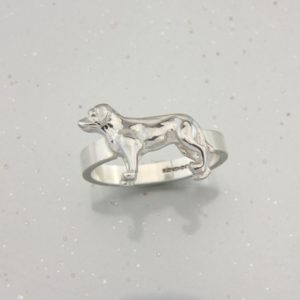Labrador Ring SS